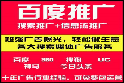 百度竞价广告的投放策略与成功案例分析